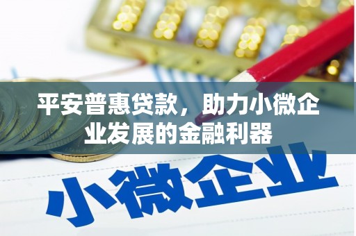 罗城平安普惠贷款，助力小微企业发展的金融利器