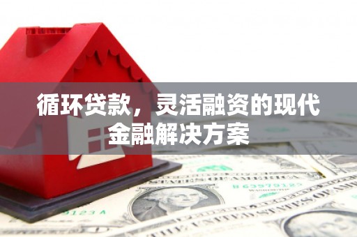 罗城循环贷款，灵活融资的现代金融解决方案