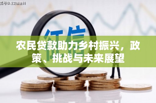 罗城农民贷款助力乡村振兴，政策、挑战与未来展望