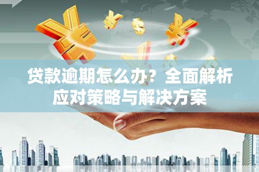 罗城贷款逾期怎么办？全面解析应对策略与解决方案