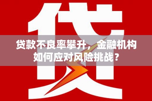 罗城贷款不良率攀升，金融机构如何应对风险挑战？