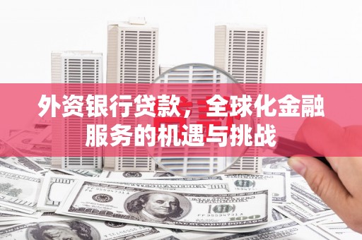 罗城外资银行贷款，全球化金融服务的机遇与挑战