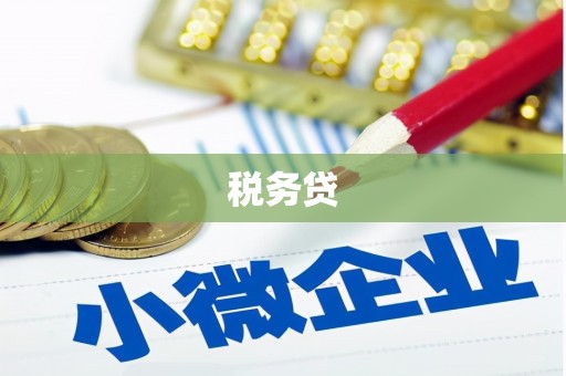 罗城税务贷