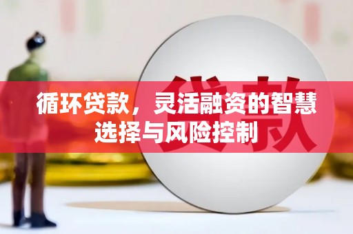 罗城循环贷款，灵活融资的智慧选择与风险控制