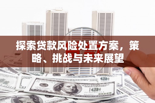 罗城探索贷款风险处置方案，策略、挑战与未来展望