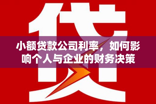 罗城小额贷款公司利率，如何影响个人与企业的财务决策
