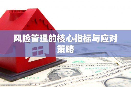 罗城风险管理的核心指标与应对策略