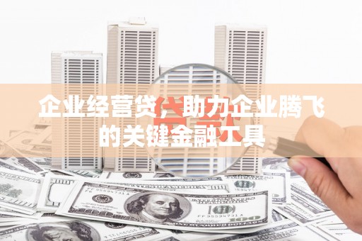 罗城企业经营贷，助力企业腾飞的关键金融工具
