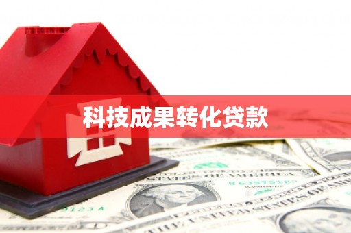 罗城科技成果转化贷款