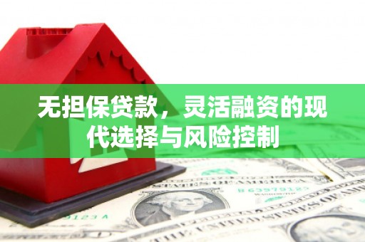 罗城无担保贷款，灵活融资的现代选择与风险控制