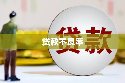 罗城贷款不良率
