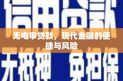 罗城无电审贷款，现代金融的便捷与风险