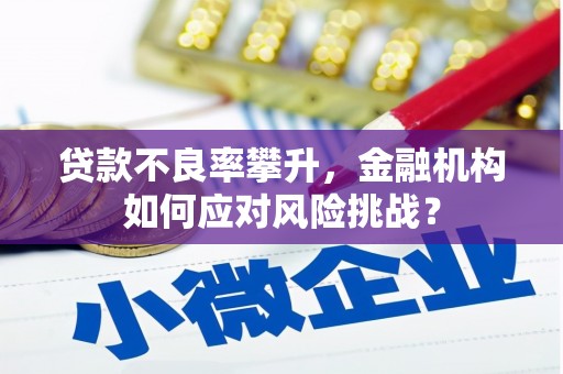 罗城贷款不良率攀升，金融机构如何应对风险挑战？