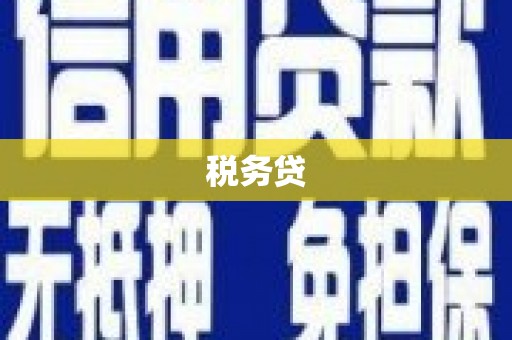 罗城税务贷