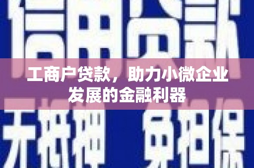 罗城工商户贷款，助力小微企业发展的金融利器