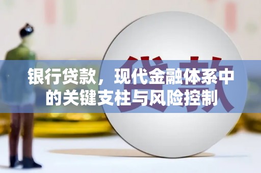 罗城银行贷款，现代金融体系中的关键支柱与风险控制