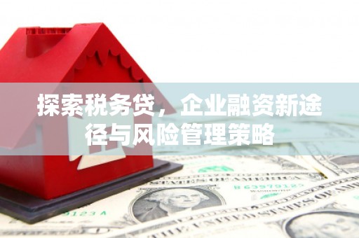 罗城探索税务贷，企业融资新途径与风险管理策略