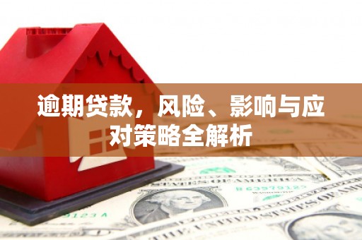 罗城逾期贷款，风险、影响与应对策略全解析