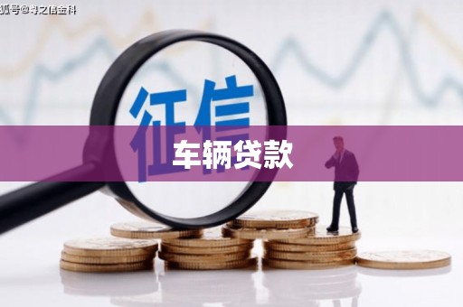 罗城车辆贷款
