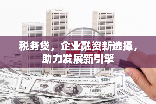 罗城税务贷，企业融资新选择，助力发展新引擎