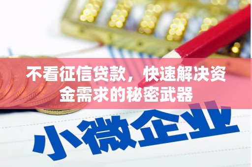 罗城不看征信贷款，快速解决资金需求的秘密武器