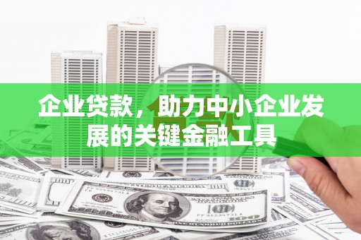 罗城企业贷款，助力中小企业发展的关键金融工具