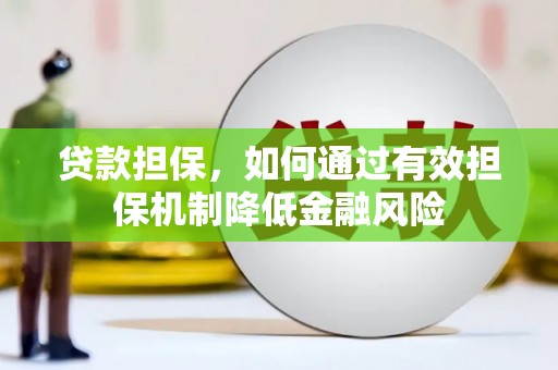 罗城贷款担保，如何通过有效担保机制降低金融风险