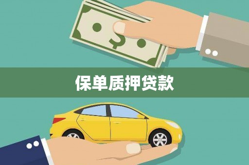 罗城保单质押贷款