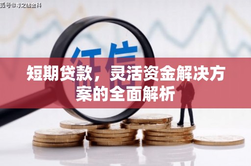 罗城短期贷款，灵活资金解决方案的全面解析