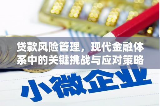 罗城贷款风险管理，现代金融体系中的关键挑战与应对策略