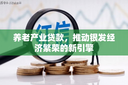 罗城养老产业贷款，推动银发经济繁荣的新引擎