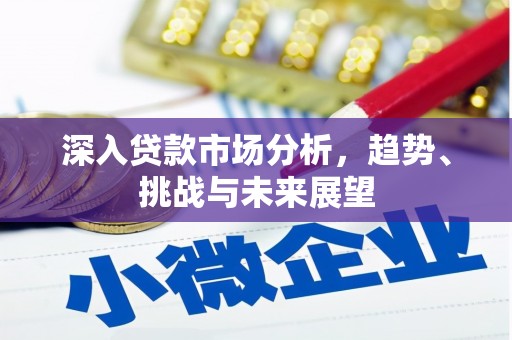 罗城深入贷款市场分析，趋势、挑战与未来展望