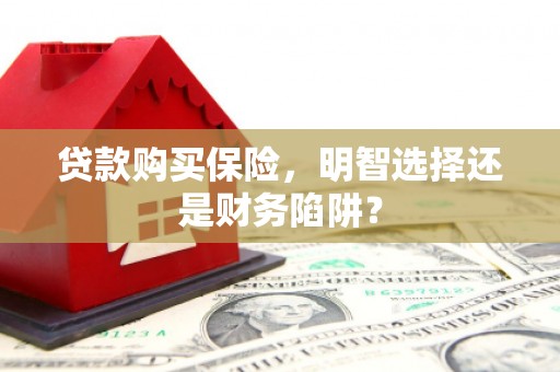 罗城贷款购买保险，明智选择还是财务陷阱？