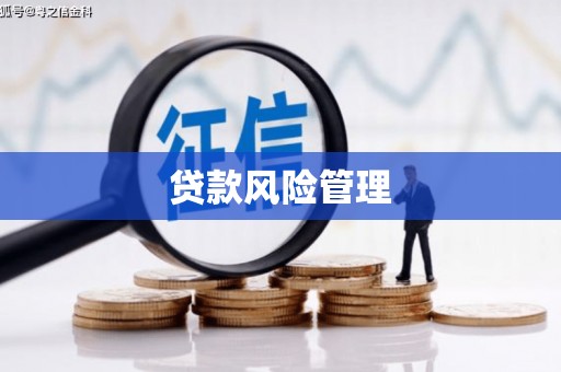 罗城贷款风险管理