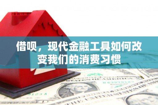 罗城借呗，现代金融工具如何改变我们的消费习惯