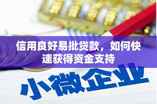 罗城信用良好易批贷款，如何快速获得资金支持
