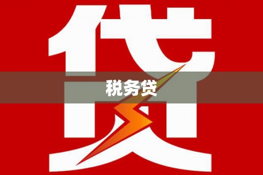 罗城税务贷