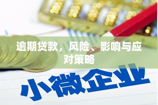 罗城逾期贷款，风险、影响与应对策略