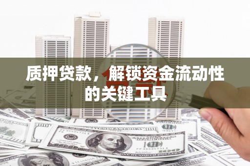 罗城质押贷款，解锁资金流动性的关键工具