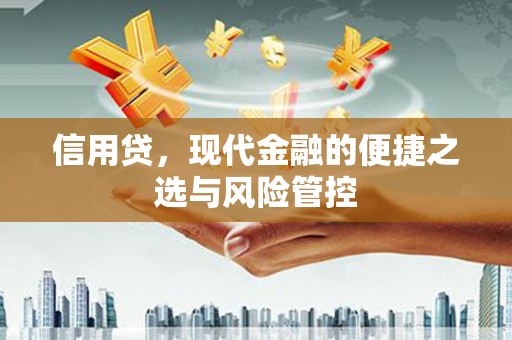 罗城信用贷，现代金融的便捷之选与风险管控
