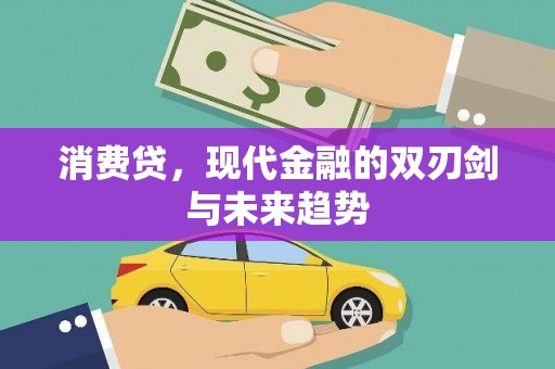 罗城消费贷，现代金融的双刃剑与未来趋势