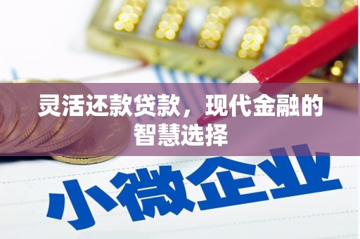 罗城灵活还款贷款，现代金融的智慧选择
