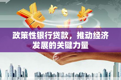 罗城政策性银行贷款，推动经济发展的关键力量