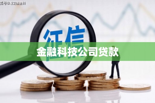 罗城金融科技公司贷款