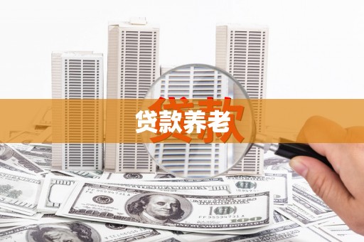 罗城贷款养老