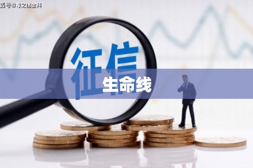 罗城生命线