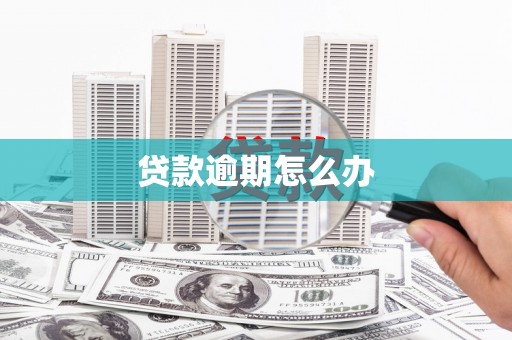 罗城贷款逾期怎么办