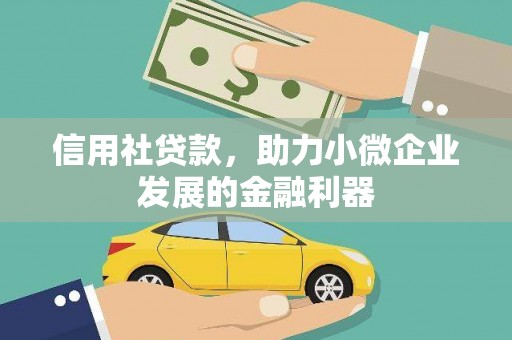 罗城信用社贷款，助力小微企业发展的金融利器