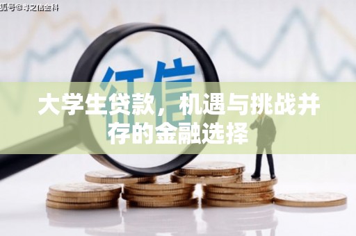 罗城大学生贷款，机遇与挑战并存的金融选择