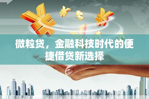 罗城微粒贷，金融科技时代的便捷借贷新选择